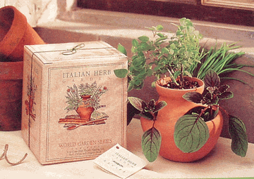 Italian Herb Garden